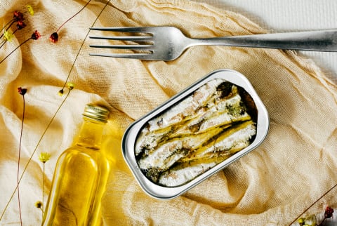 Sardine Can on a Table Sardine Can on a Table
