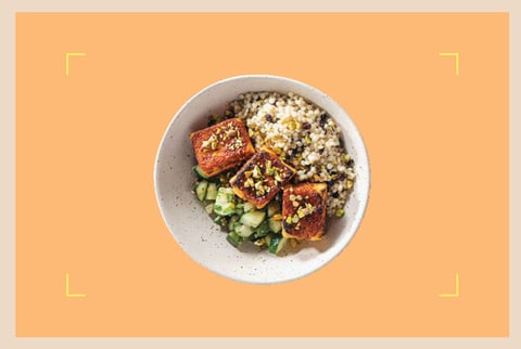 Best Plant Based Meal Delivery Hero Food on Oragne Background Best Plant Based Meal Delivery Hero Food on Oragne Background